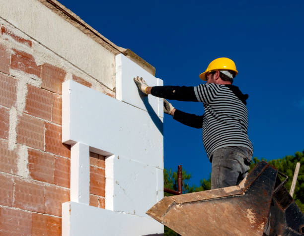 Best Residential Insulation in Portageville, MO
