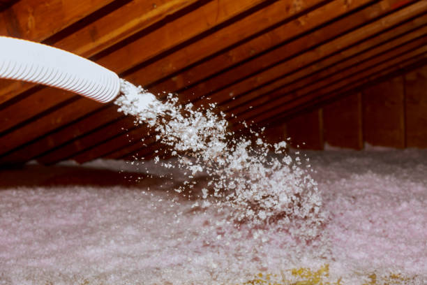Best Commercial Insulation in Portageville, MO
