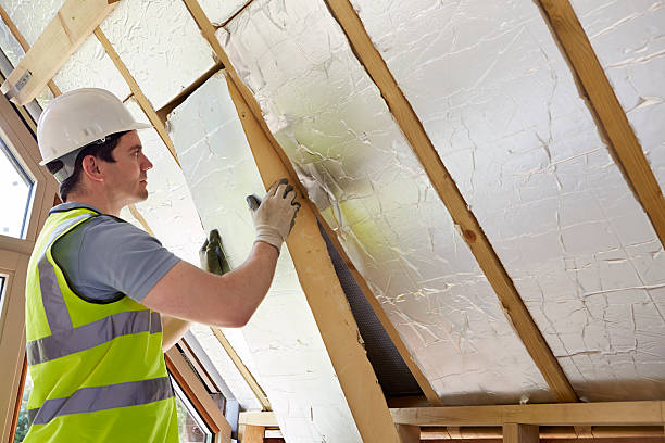 Best Eco-Friendly Insulation in Portageville, MO