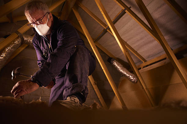 Best DIY Insulation Kits and Guidance in Portageville, MO